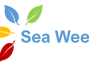 Sea Week